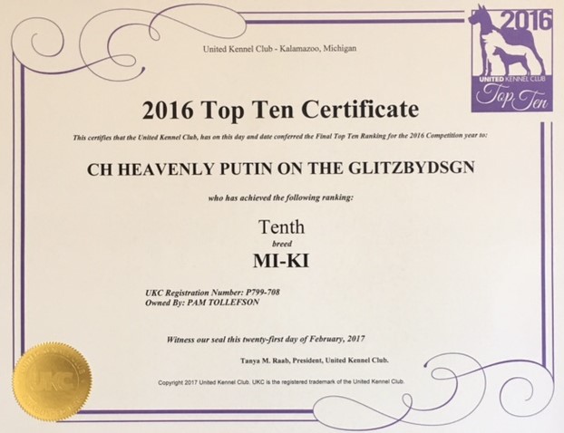 Glitz-Top 10 UKC 2016 List
