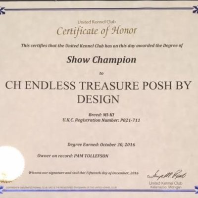 Posh's UKC CH Certificate