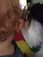 Children Love Kisses